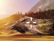 Gerçek Ördek Avcısı