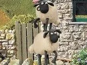 Koyun Shaun Yemeğe Ulaş