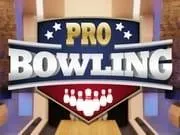 Pro Bowling 3D
